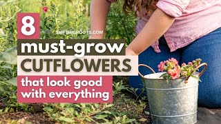 8 Best Cut Flowers to Grow in 2022: Plus 1 to Avoid at all Costs