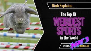 Top 10 Weirdest Sports in the World - Part 3 - EXPLAINED!