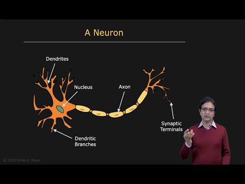 Overview | Neural Networks