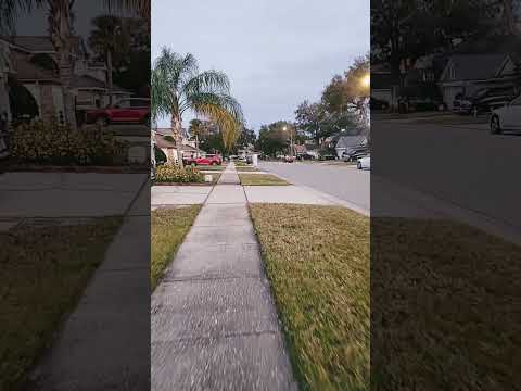 Walking in Florida in the early morning