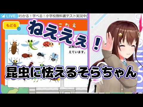 虫が嫌いが全力で仕草に出まくるそらちゃん【ときのそら/ホロライブ切り抜き】