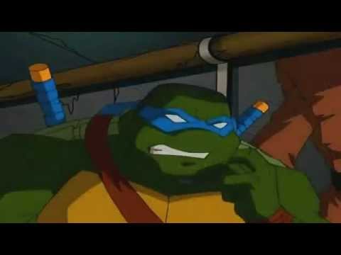 TMNT ~ Leonardo The Guardian [CMV]