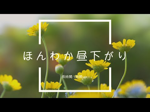 【フリーBGM】ほんわか昼下がり 1時間版【ほのぼの、クラリネット/作業用BGM】