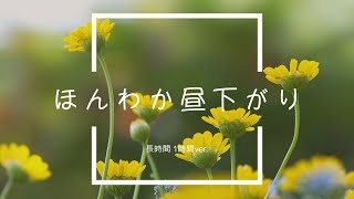 【フリーBGM】ほんわか昼下がり 1時間版【ほのぼの、クラリネット/作業用BGM】