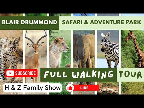 Ultimate Walking Tour Exploring Blair Drummond Safari and Adventure Park's Hidden Gems