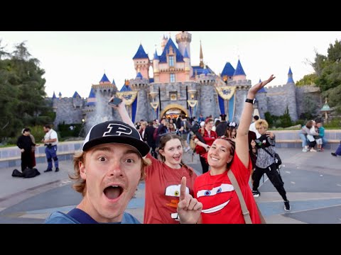 WE WENT TO DISNEYLAND