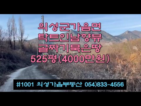 #1001 의성가음부동산 계곡중턱 언덕위 확트인 남향 묵은밭 525평 4000만 (당7.6만원) 전기가능 건축가능 마을가깝고 간섭없는 전원생활 쉼터 주말농장용 #의성땅#골짝땅