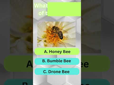 Epic Insect Quiz Challenge! Part 4 #viral #quiz #trending #shorts