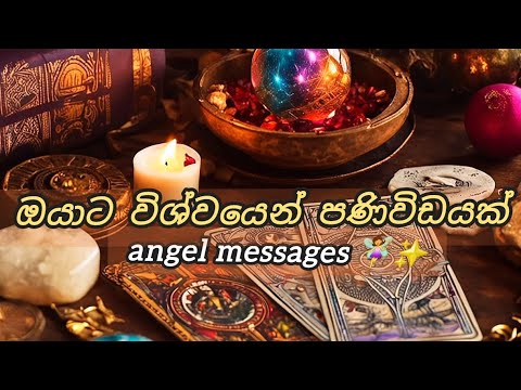 ඔයාට විශ්වයෙන් පණිවිඩයක්. Angel Messages 🧚‍♀️✨️✨️ tarot sinhala