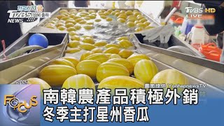 南韓農產品積極外銷 冬季主打星州香瓜｜FOCUS午間新聞 20230112@TVBSNEWS01