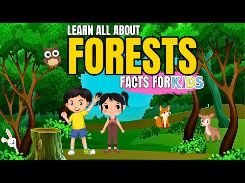 Learn All About Forest (Facts For Kids)