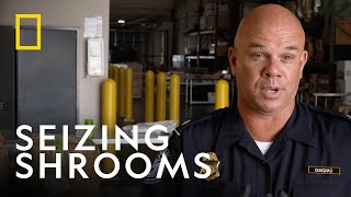 Seizing Contraband Shrooms | To Catch a Smuggler | National Geographic UK