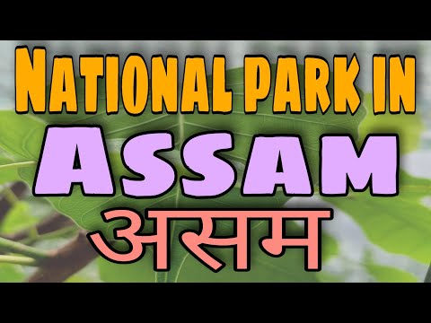 National parks in Assam #shorts #nationalparks #gk  #gkquiz