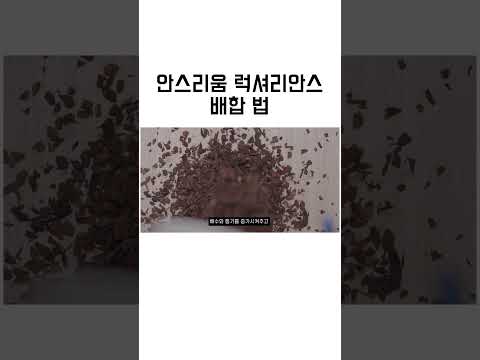 안스리움 흙 배합법, 안스리움 키우는 법