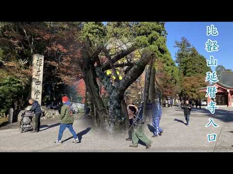 2023日本關西賞楓自由行二(比叡山延曆寺)