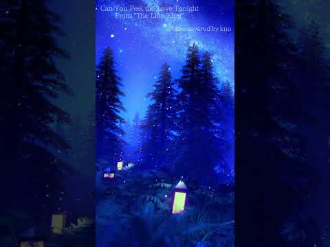 Disney Calming Forest Winter Night Time Piano Music Collection #disney  #knopianomusic