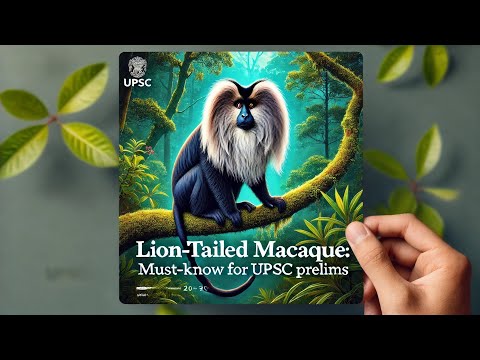 Lion-Tailed Macaque: Key Facts & Conservation Status | Important Species for UPSC Prelims #upsc