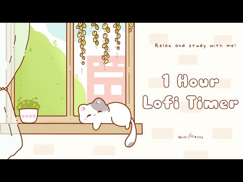 1 Hour - Relax & study with me Lofi | Cat by the window #timer #1hour #1hourloop #lofi #relaxing