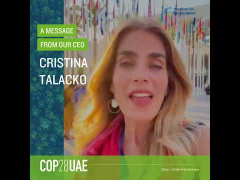 C4C's CEO Cristina Talacko Joins Us From COP28 in Dubai