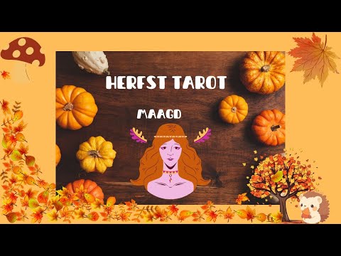 HERFST Tarot MAAGD   Groei door samenwerking