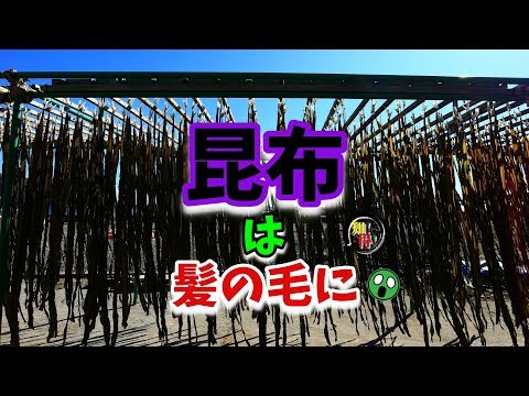 ◆知っ得◆雑学　昆布が髪の毛に良いってホント？昆布と髪の毛の関係😳