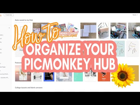 How to Organize Your Picmonkey Hub