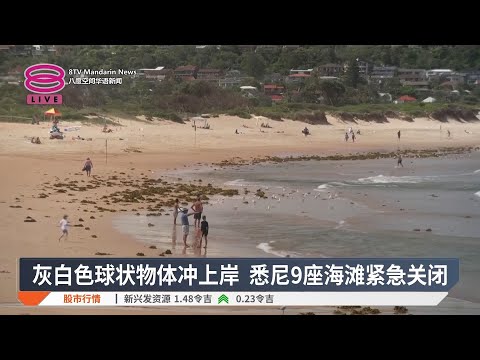 灰白色球状物体冲上岸  悉尼9座海滩紧急关闭【2025.01.14 八度空间华语新闻】