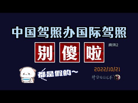 资讯2-这些不是国际驾照！中国驾照如何办理国际驾驶执照？IDD IDL IDP International driving permit 翻译 | Pangzai's diary 20221021