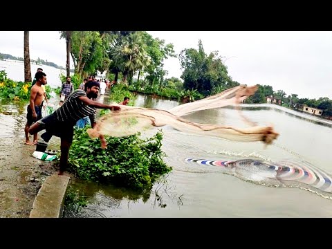 বন্যার পানিতে রাস্তায় মাছ ধরা | colourfull net fishing | Amazing village fishing video