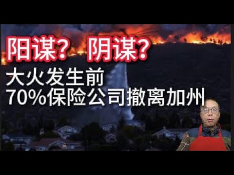 洛杉矶大火前， 为什么70%保险公司提前撤出加州？