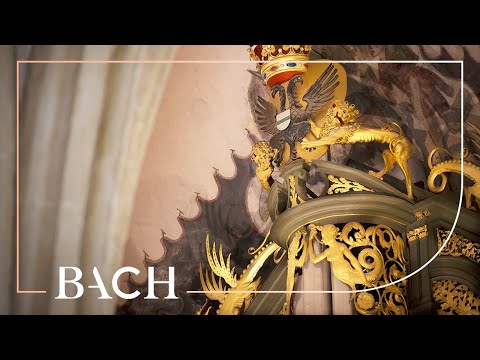 Bach - An Wasserflüssen Babylon BWV 653 - Van Doeselaar | Netherlands Bach Society