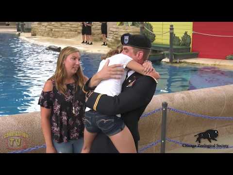 🔴 Soldiers Coming Home Surprise Compilation 72