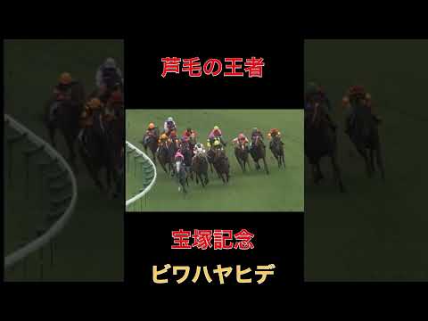 芦毛の王者ビワハヤヒデ【競馬】#競馬#ビワハヤヒデ#ウマ娘