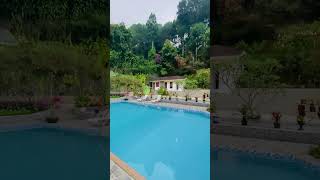 Villa puncak view hutan 087886271799 #villa #puncakpass #travel #bookingvillapuncak