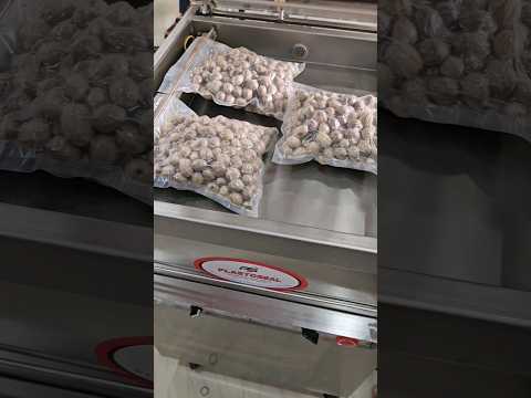 Nutmeg packing using vaccum sealer | DZ 500 Vaccum packing machine #vaccumsealer #vaccumpackmachine