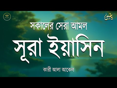 সকালে আমলের জন্য শ্রেষ্ঠ তেলাওয়াত সুরা ইয়াসিন | Surah Yaseen | amol | سوره يس Record by Alaa Aqel