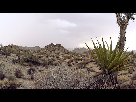 DESERT RAIN - Relaxing Video w/Thunder+Wind