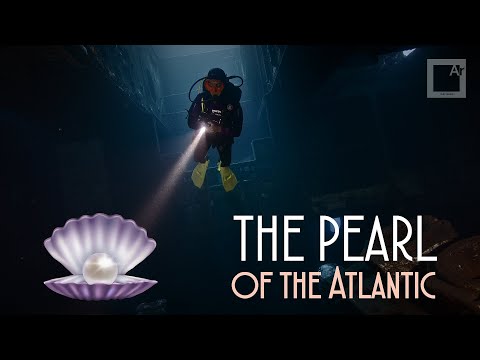 The Pearl - Underwater World Film (3rd place for the 1st Madeira Underwater Photo and Video Open)