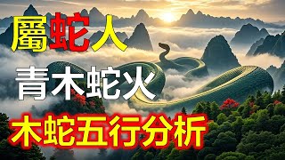 2025農曆新年，青木蛇火年象徵意義，十二生肖預測，木蛇五行分析