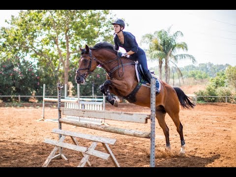 Goddess TV - Alisa Tsudik - Horse Show Jumping