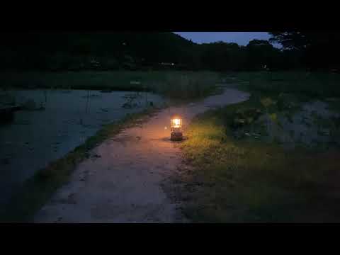 【自然音】ハスの水田の田舎道【カエルの鳴き声】【ランタン】【熟睡】60分