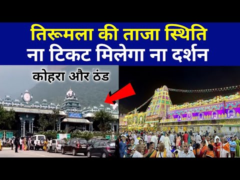 Tirumala Present Situation | Rush In Tirumala | Weather | Sarvadarshan Token Status | DP Trekker