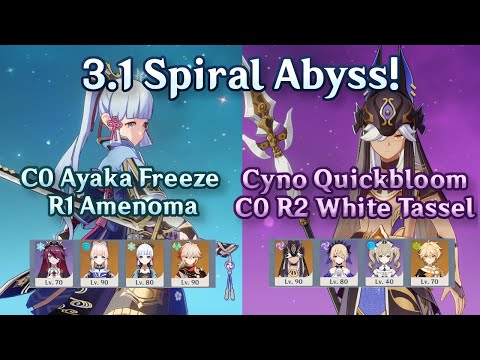 C0 Ayaka Freeze R1 Amenoma + C0 Cyno Quickbloom R2 White Tassel | 3.1 Abyss | 9 Stars Continuous