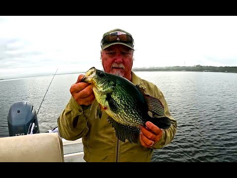 BIG Crappie Quest - St Johns River Florida