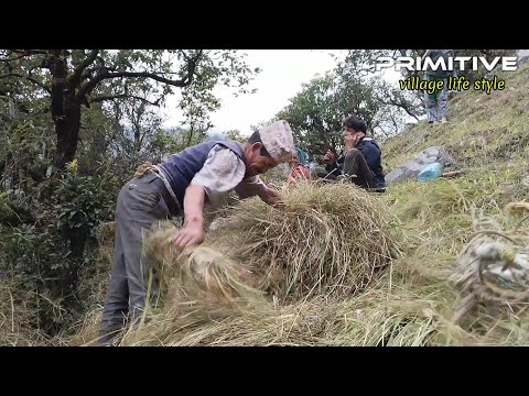 This is the life of the mountains| Grass is cut in this way |This work is more dangerous than others