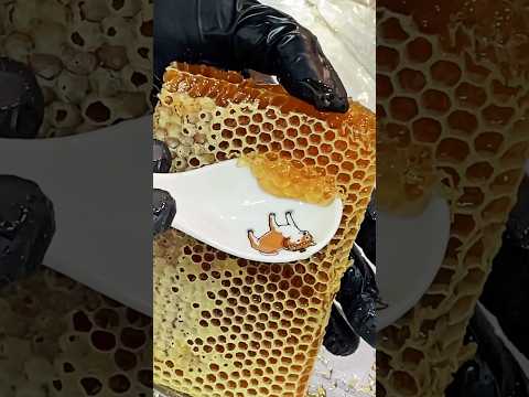 The most special honeycomb mochi ／晶瑩剔透的療癒系蜂巢蜜