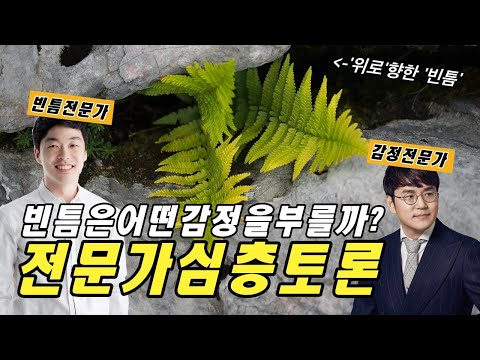 빈틈에서 피어나는 감정의 나비효과에 대한 단상 [빈틈의 위로] - 뇌부자들 김지용 정신과전문의