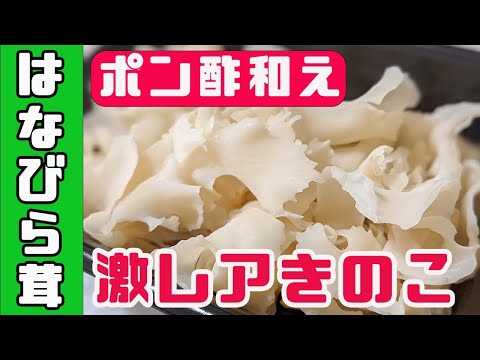 はなびらだけ【生産者直伝】レンジで簡単調理！ポン酢和え