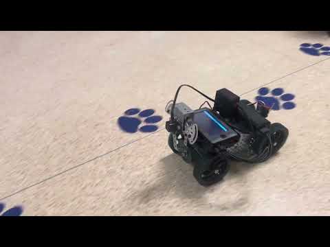 PLTW Robot Pet