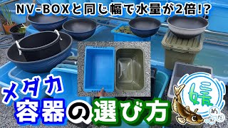 メダカ飼育容器の選び方！～NVボックスと同じサイズで2倍の水量？お買い得な睡蓮鉢発見！～【媛めだか】